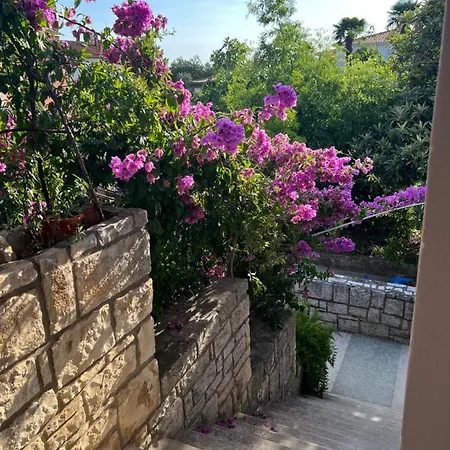 Paola Cozy Apartment *